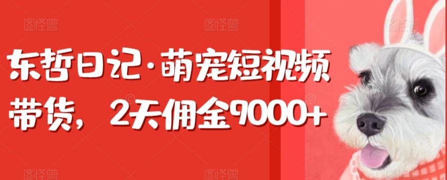 东哲日记·萌宠短视频带货，2天佣金9000+-鑫梵淘