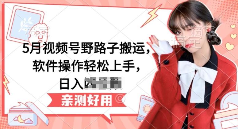 5月视频号野路子搬运，软件操作轻松上手，日入三位数【揭秘】-鑫梵淘