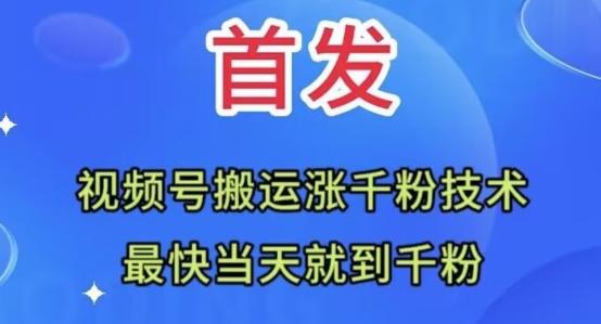 全网首发：视频号无脑搬运涨千粉技术，最快当天到千粉【揭秘】-鑫梵淘