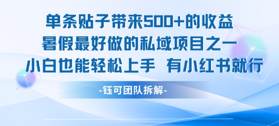 单条贴子带来5张的收益，暑假最好做的私域项目之一，小白也能轻松上手，有小红书就行-鑫梵淘