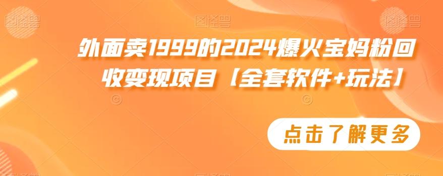 外面卖1999的2024爆火宝妈粉回收变现项目【全套软件+玩法】【揭秘】-鑫梵淘
