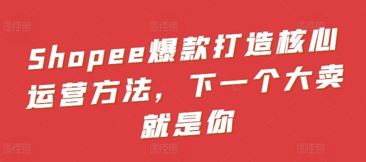 Shopee爆款打造核心运营方法，下一个大卖就是你-鑫梵淘