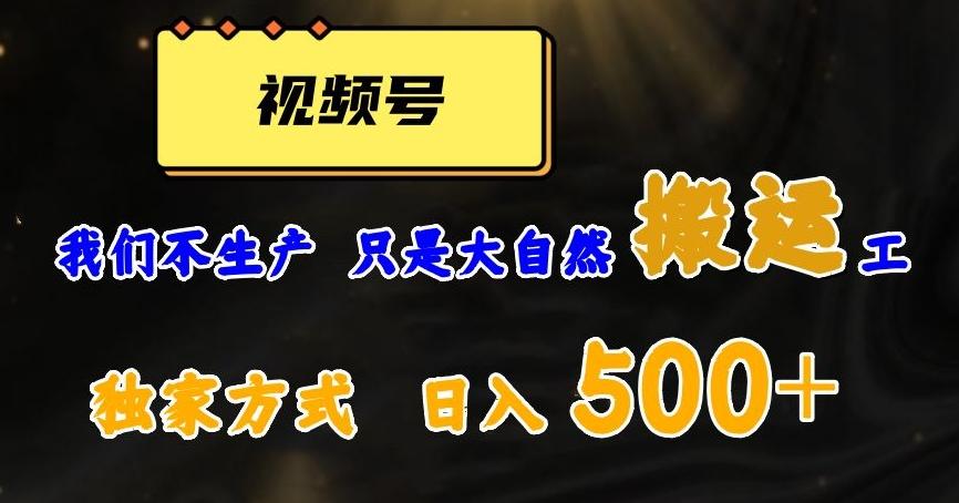 视频号轻松搬运日赚500+，一个1分钟1条原创视频【揭秘】-鑫梵淘