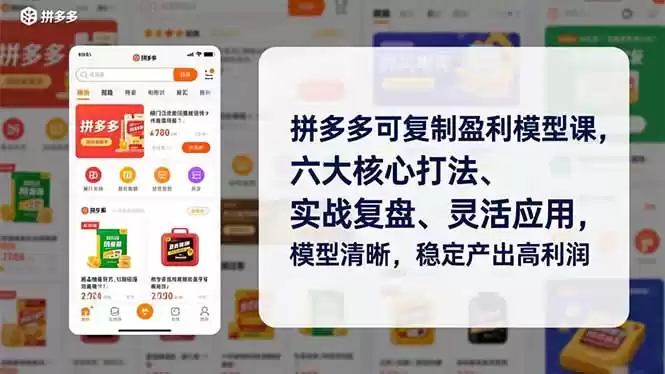 拼多多可复制盈利模型课，六大核心打法、实战复盘、灵活应用，模型清晰，稳定产出高利润-鑫梵淘