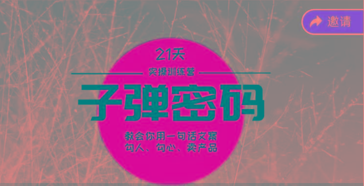 《子弹密码训练营》-用一句话文案勾人勾心卖产品，21天学到顶尖文案大师策略和技巧-鑫梵淘