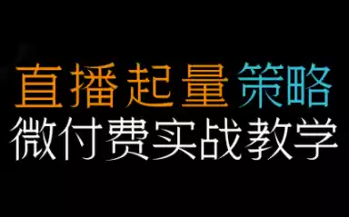 半野老师·直播带货起量与微付费必学课视频号-鑫梵淘