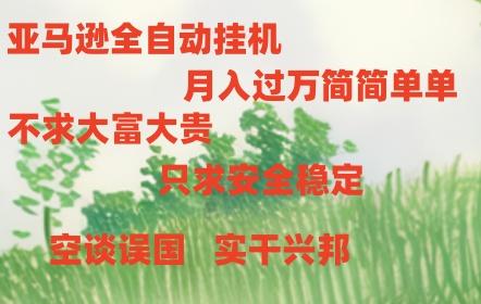 亚马逊全自动浏览挂机，，收益稳定且前景广阔-鑫梵淘