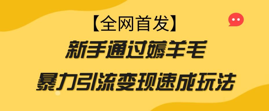 【全网首发】新手通过薅羊毛暴力引流变现速成玩法-鑫梵淘