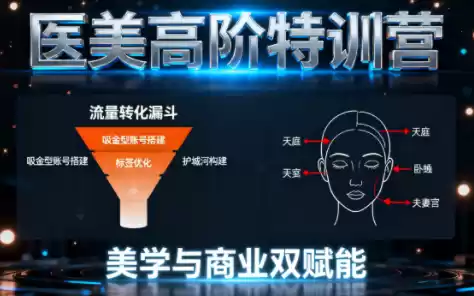 0-1000万医美高阶特训营课程-鑫梵淘