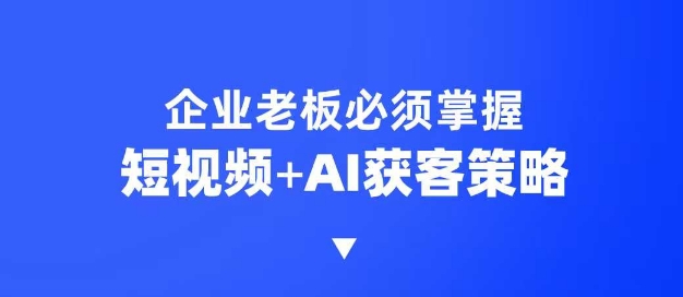企业短视频AI获客霸屏流量课，6步短视频+AI突围法，3大霸屏抢客策略-鑫梵淘