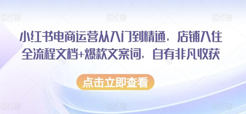 小红书电商运营从入门到精通，店铺入住全流程文档+爆款文案词，自有非凡收获-鑫梵淘