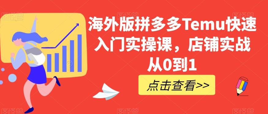海外版拼多多Temu快速入门实操课，店铺实战从0到1-鑫梵淘