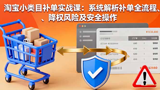 淘宝小类目补单实战课：系统解析补单全流程、降权风险及安全操作-鑫梵淘
