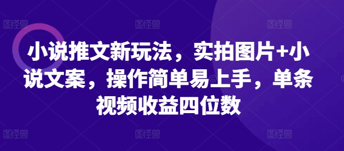 小说推文新玩法，实拍图片+小说文案，操作简单易上手，单条视频收益四位数-鑫梵淘