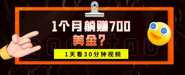 1天看30分钟视频，1个月躺赚700美金？-鑫梵淘