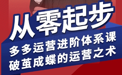 拼多多运营进阶系统课，从零起步，多多运营进阶体系课，破茧成蝶的运营之术-鑫梵淘