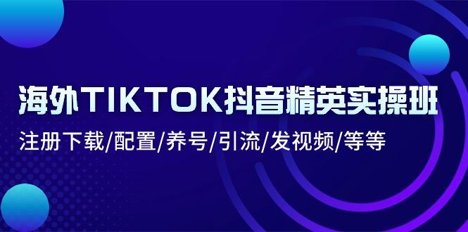 海外TIKTOK抖音精英实操班：注册下载/配置/养号/引流/发视频/等等-鑫梵淘
