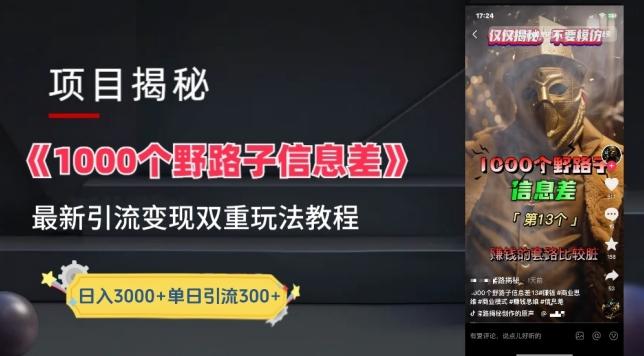 一千个野路子信息差最新玩法教程-变现+引流的玩法具体拆解【揭秘】-鑫梵淘