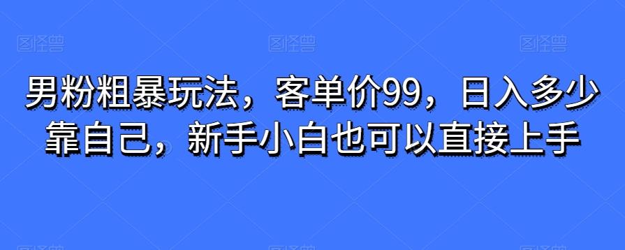 男粉粗暴玩法，客单价99，日入多少靠自己，新手小白也可以直接上手-鑫梵淘