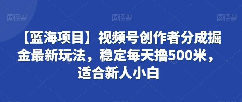 【蓝海项目】视频号创作者分成掘金最新玩法，稳定每天撸500米，适合新人小白【揭秘】-鑫梵淘