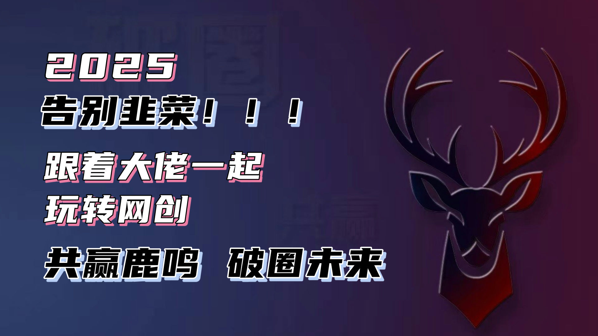告别韭菜！2025知识付费风口项目，小白也能闭眼操作！-鑫梵淘