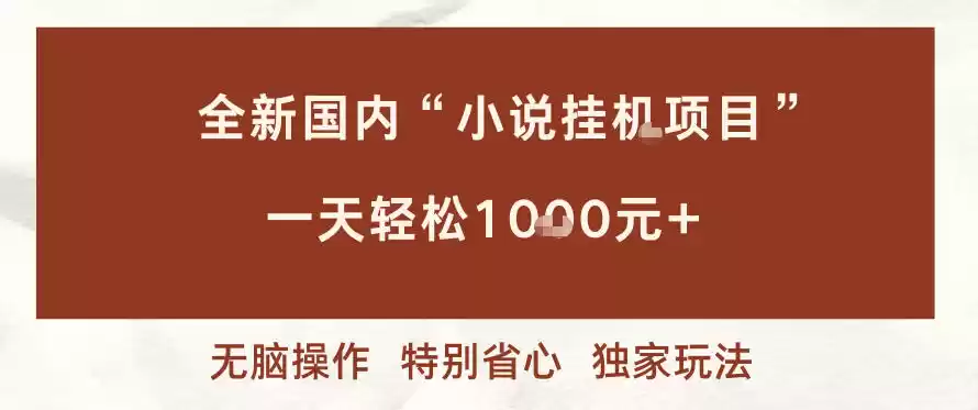 全新国内小说挂G项目，多窗口无脑跑，一天轻松1k+，特别省心【揭秘】-鑫梵淘