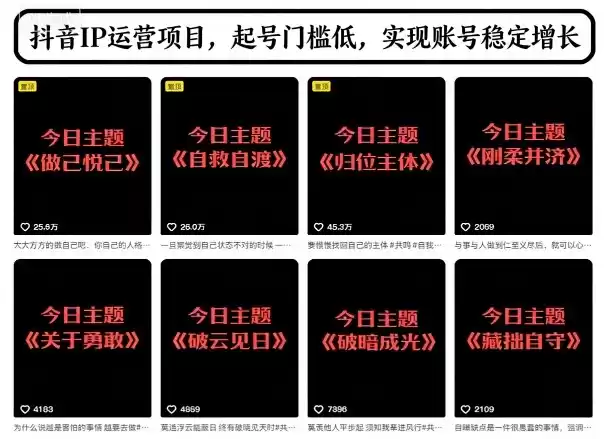 抖音IP运营项目，抖音今日主题玩法，起号门槛低，实现账号稳定增长-鑫梵淘