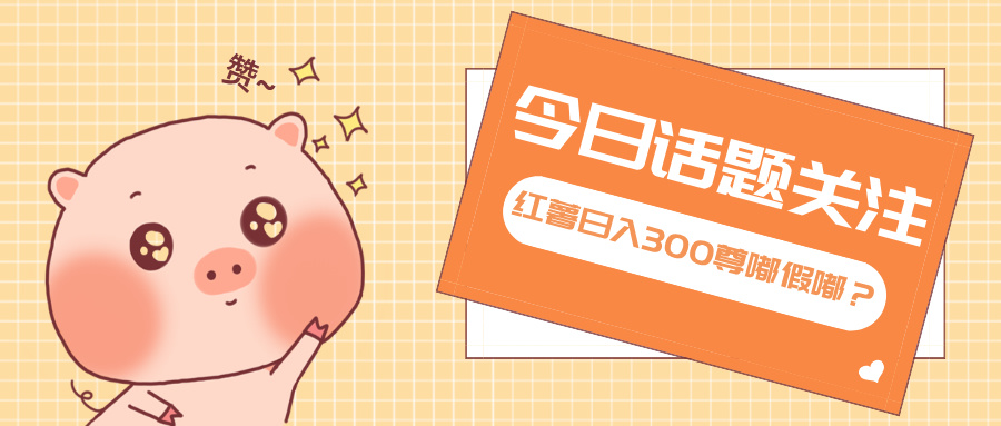 全新红薯浏览，打破常规 双端操作，每天运行6小时，让你获得工作以外的...-鑫梵淘