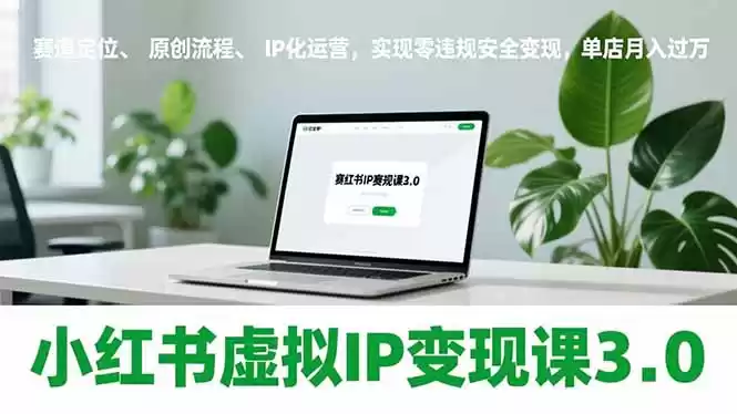小红书虚拟IP变现课3.0，赛道定位、原创流程、IP化运营，实现零违规安全变现，单店月入过万-鑫梵淘