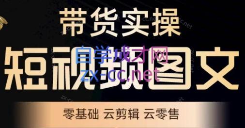 鑫哥·2024零基础短视频带货实操营-鑫梵淘