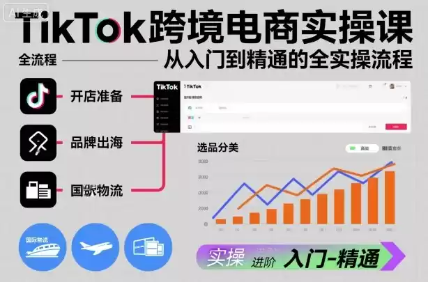 TikTok跨境电商实操课，从入门到精通的全实操流程-鑫梵淘