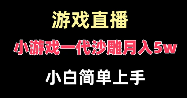 玩小游戏一代沙雕月入5w，爆裂变现，快速拿结果，高级保姆式教学【揭秘】-鑫梵淘