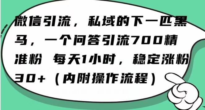 怎么搞精准创业粉？微信新赛道，每天一小时，利用Ai一个问答日引100精准粉-鑫梵淘