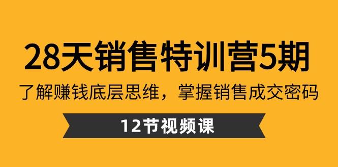 28天销售特训营5期：了解赚钱底层思维，掌握销售成交密码（12节课）-鑫梵淘