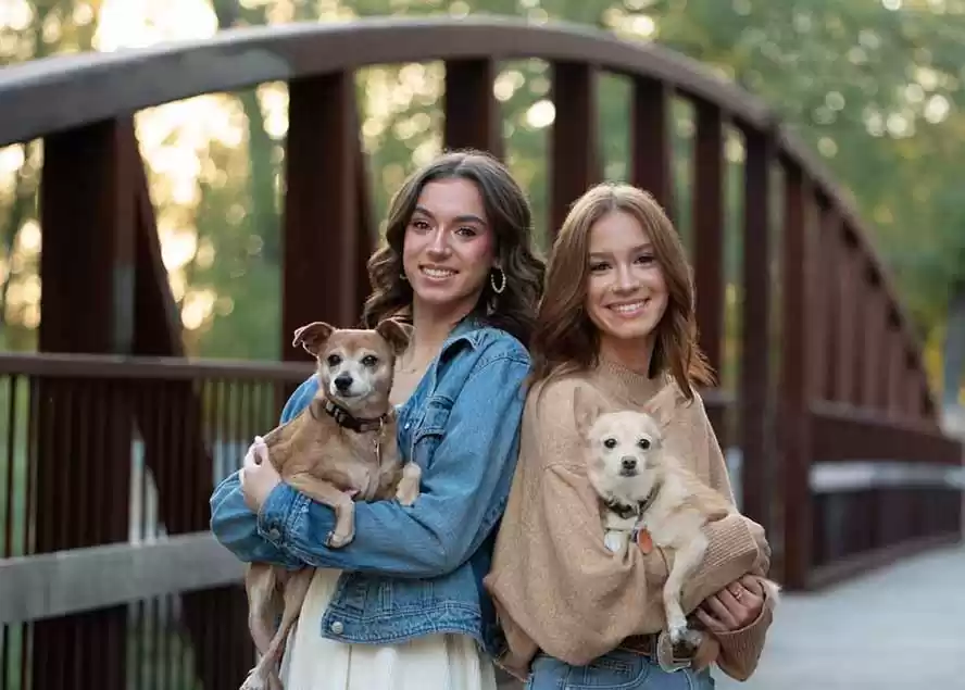 图片[1]-大师级GTG出品-老友记系列AI自适应预设The Friends Preset Collection-鑫梵淘