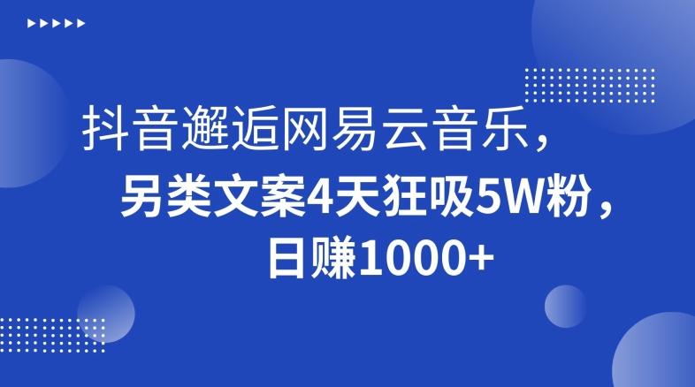 抖音邂逅网易云音乐，另类文案4天狂吸5W粉，日赚1000+【揭秘】-鑫梵淘