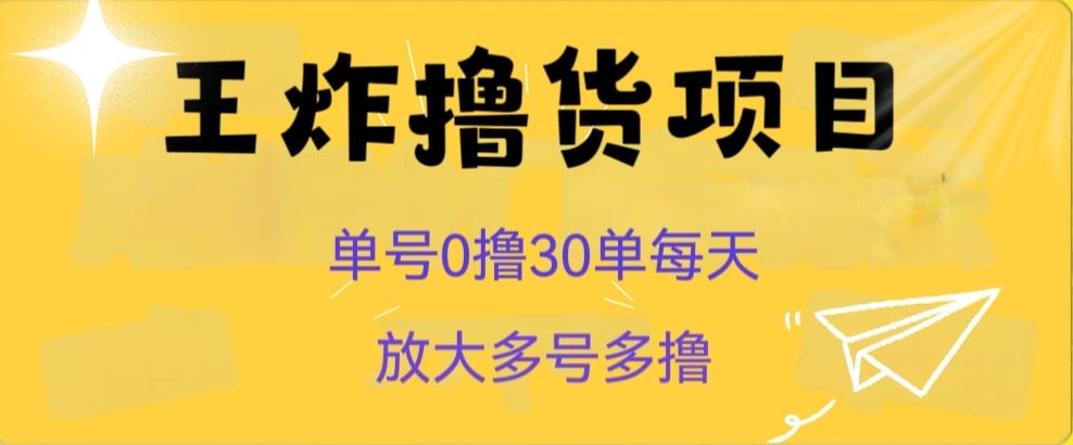 王炸撸货项目，单号0撸30单每天，多号多撸【揭秘】-鑫梵淘