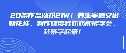 20条作品涨粉21W！养生赛道又出新花样，制作难度我奶奶都能学会，赶紧学起来-鑫梵淘