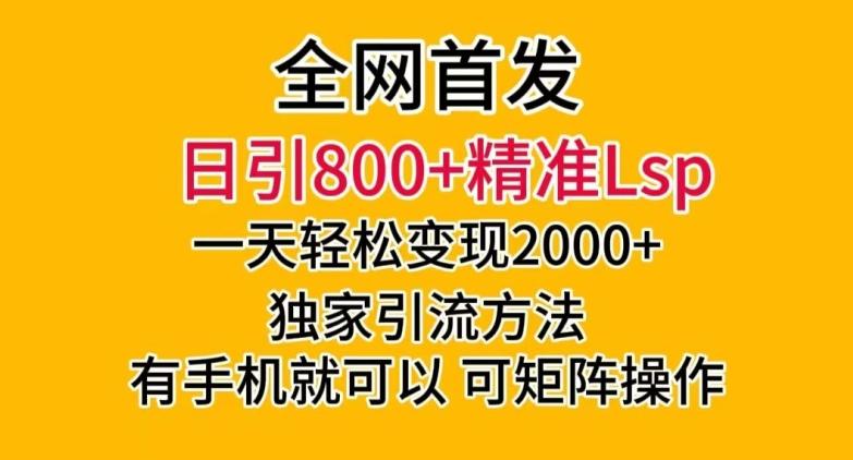 全网首发！日引800+精准老色批，一天变现2000+，独家引流方法，可矩阵操作【揭秘】-鑫梵淘