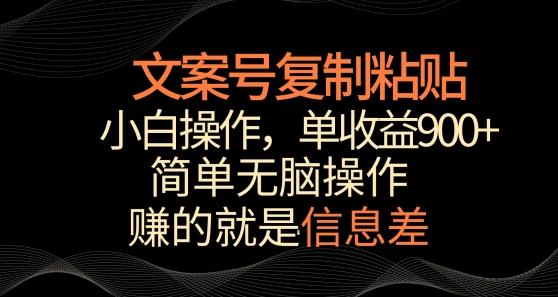 文案号掘金，简单复制粘贴，小白操作，单作品收益900+【揭秘】-鑫梵淘