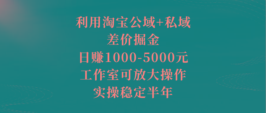 利用淘宝公域+私域差价掘金，日赚1000-5000元，工作室可放大操作，实操...-鑫梵淘