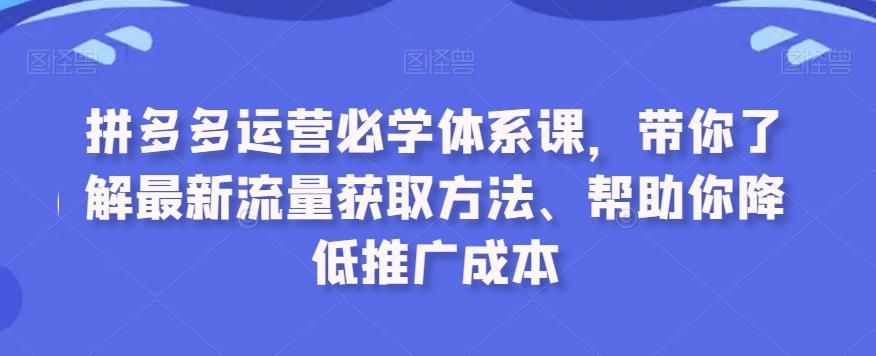 拼多多运营必学体系课，带你了解最新流量获取方法、帮助你降低推广成本-鑫梵淘