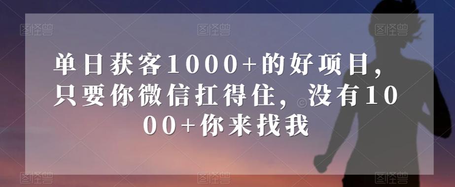 单日获客1000+的好项目，只要你微信扛得住，没有1000+你来找我【揭秘】-鑫梵淘