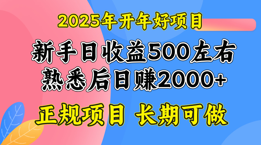 2025开年好项目，单号日收益2000左右-鑫梵淘