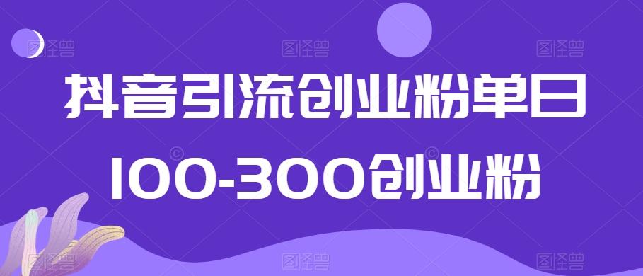 抖音引流创业粉单日100-300创业粉【揭秘】-鑫梵淘