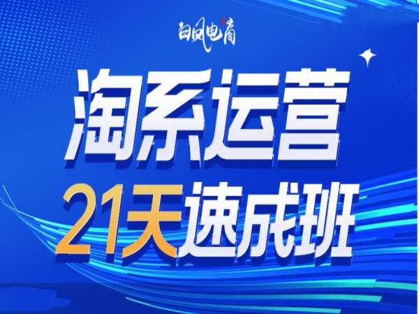 淘系运营21天速成班35期，年前最后一波和2025方向-鑫梵淘