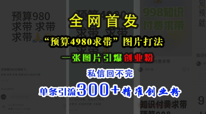 小红书“预算4980带我飞”图片打法，一张图片引爆创业粉，私信回不完，单条引流300+精准创业粉-鑫梵淘
