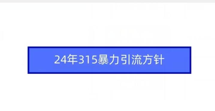 24年315暴力引流方针-鑫梵淘