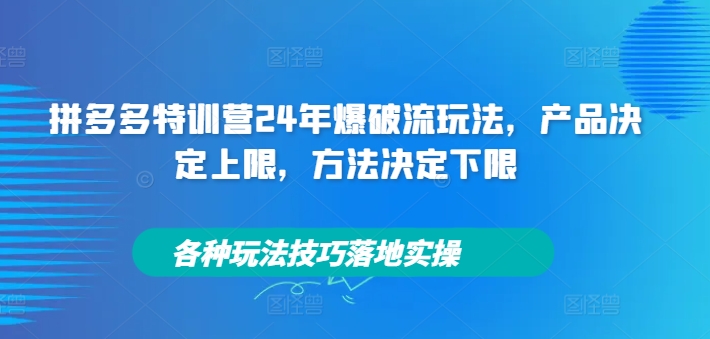 拼多多特训营24年爆破流玩法，产品决定上限，方法决定下限，各种玩法技巧落地实操-鑫梵淘