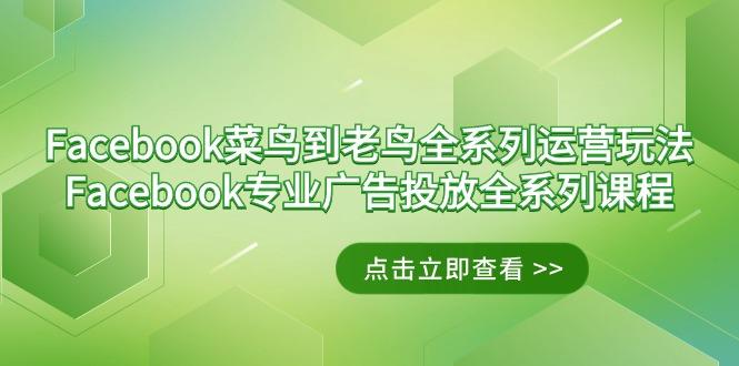 Facebook-菜鸟到老鸟全系列运营玩法+Facebook-专业广告投放全系列课程-鑫梵淘